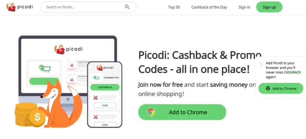 Picodi: Turning Shopping into Earnings